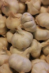 garlic on market