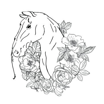 Isolated illustration horse in flowers. A picture of a horse's head for coloring, a blank for designers