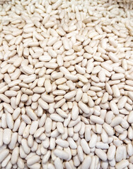 Heap of white beans in supermarket 