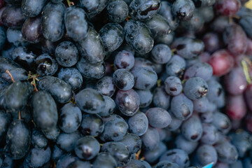grapes closeup