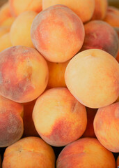 orange peaches lie in a pile