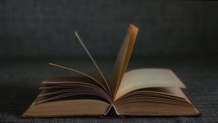Old open book with pages spinning in the wind