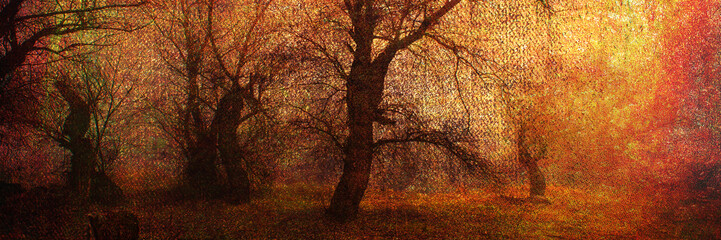 Dark grunge landscape showing forest on a creepy autumn day