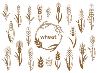 小麦や大麦をイメージしたアイコンのイラストのセット
