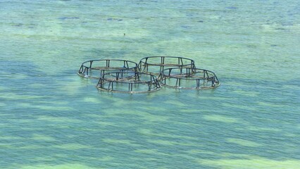 Fish trap in shallow waters