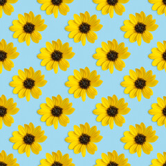 Seamless pattern with yellow flower on blue background.