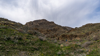 Green spring rocks under a blue sky