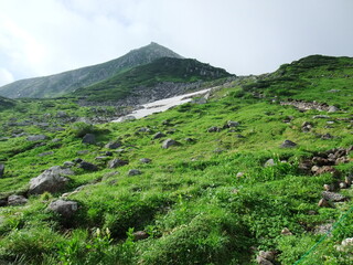 Fototapeta premium 立山 登山道の風景