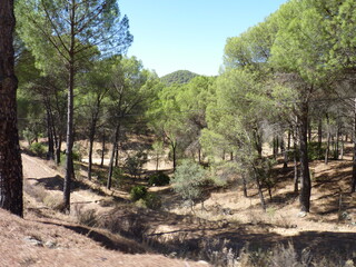 Beautiful views of the Sanctuary of the Virgen de la Cabeza in And&uacute;jar, Andalusia