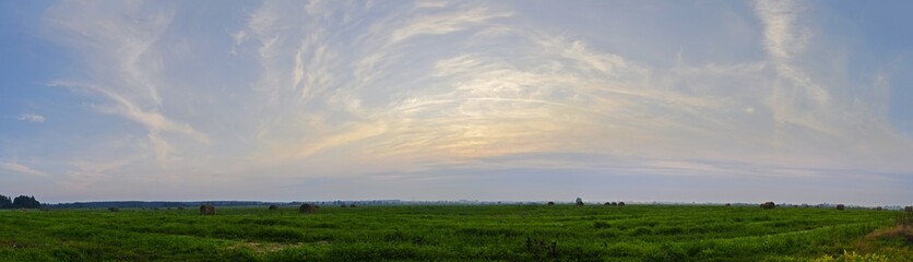 Panorama of the bright morning sky and a flat field covered with green grass