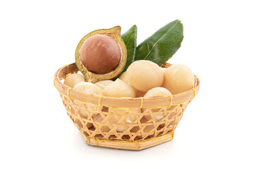 Macadamia fruits isolated on white background.