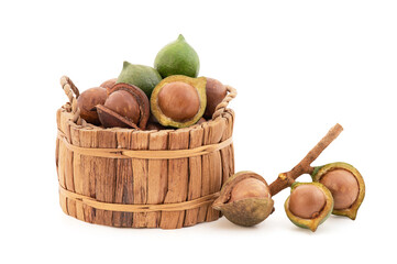 Macadamia fruits isolated on white background with clipping path.