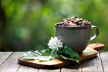 Obraz na płótnie Canvas Dried coffee seeds and flowers on nature background.