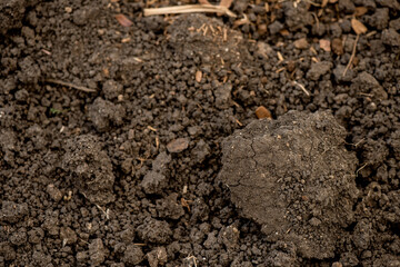 Neutral soil on nature background.