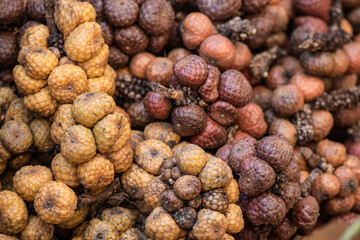Eleiodoxa conferta fruits on nature background.