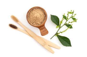 Natural toothpaste with tooth brush tree and anti-inflammatory properties.top view.