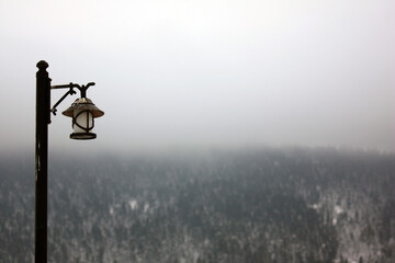 Lonely old lamp overlooking the forest in winter.