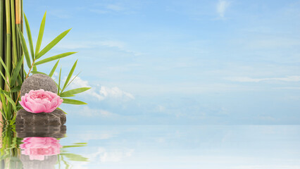 Bamboo tree and damask rose flower place stone on blue sky background.Space for text.