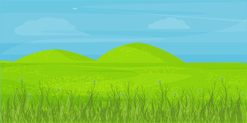 Fototapeta na wymiar Spring field, meadow. Background with blue flowers, grass, hills.