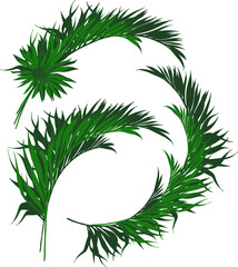 Vector set: bouquets with green fresh palm leaves. Isolated on white elements for tropical summer design of card, poster, invitation, flyer.