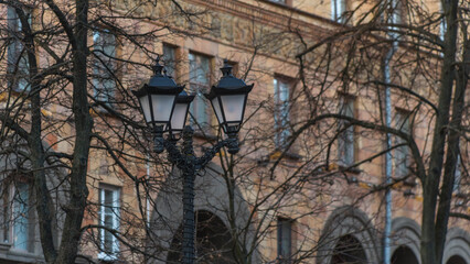 Vintage lantern with empty branches in the city on building background. Beautiful streetlight in front of old building.