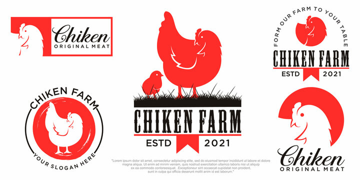 collection chicken logo design vector