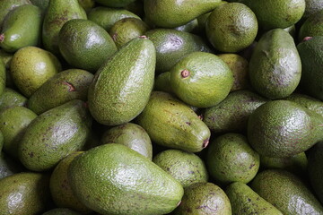 stacked avocado fruits, close up
