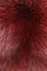 Red and black colored arctic fox fur. View from above. Closeup. Textute