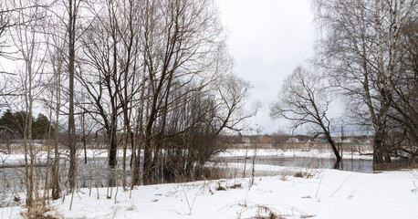 River in flood. Landscape with a river. Trees in the water. Last year's grass on thawed patches....