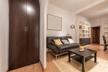 Fototapeta na wymiar Living room hall with entrance to living room with a leather sofa with matching square dining table and white wooden shelf