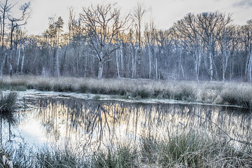 frozen lake in winter