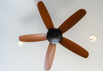 wooden ceiling fan has been installed over head