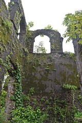 abandoned vasai fort, maharashtra, india 