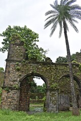 Fototapeta na wymiar ruin of vasai fort, india 