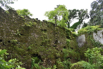 abandoned vasai fort, maharashtra, india 