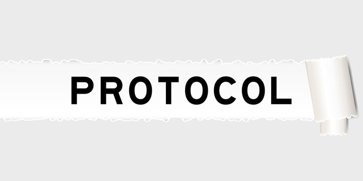 Ripped gray paper background that have word protocol under torn part