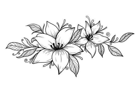illustration lily flowers patterns abstraction nature black and white