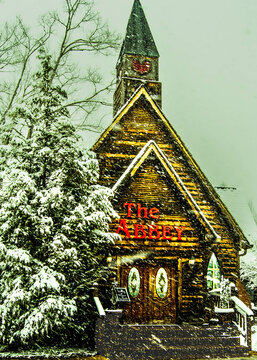 Abby in the winter