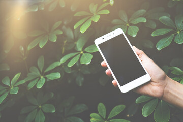 hand hold mobile phone.