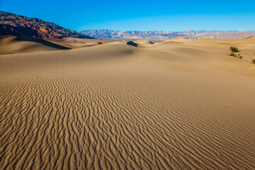  California - Mesquite Flat