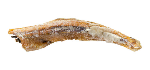 single dried anchovy fish isolated on white