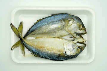 Two mackerels in a rectangular plastic tray             