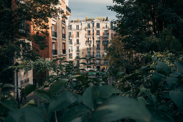 view of the street in montmartre paris o a sunny day with green leaves foreground
