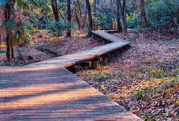 林の中の遊歩道