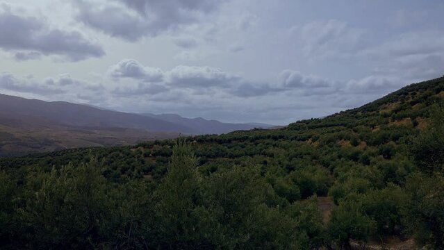 Timelapse of olive fields in Mancha Real, Jaén, Spain