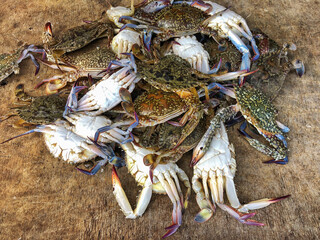heaps of fresh raw or uncooked crabs on table