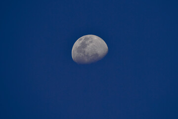 The Moon detailed shot in blue daylight sky, Half Moon Background, The moon is an astronomical body that orbits the planet Earth as the Earth's only permanent natural satellite.