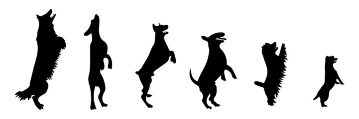 Vector silhouette of a dog on white background.
