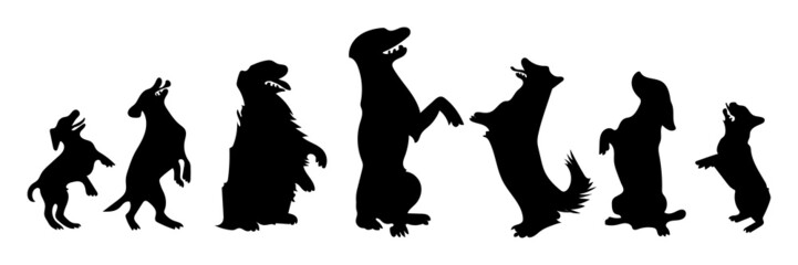 Vector silhouette of a dog on white background.
