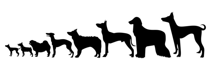 Vector silhouette of a dog on white background.
